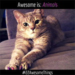 22-Awesome-Things--Animals-Featured-image