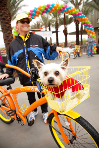 Eastmark-Cruiser-Bike-with-Dog-in-Basket
