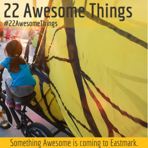 22 Awesome Things